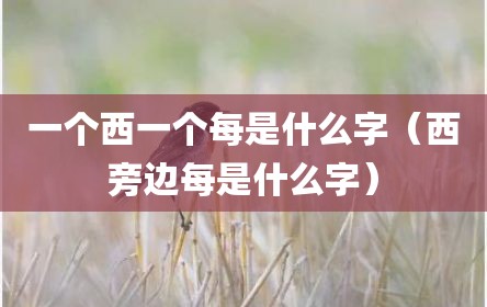 一个西一个每是什么字（西旁边每是什么字）