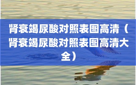 肾衰竭尿酸对照表图高清（肾衰竭尿酸对照表图高清大全）