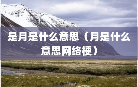 是月是什么意思（月是什么意思网络梗）
