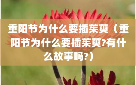 重阳节为什么要插茱萸（重阳节为什么要插茱萸?有什么故事吗?）