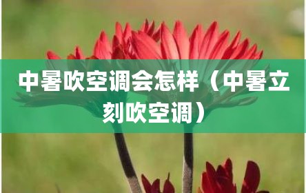 中暑吹空调会怎样（中暑立刻吹空调）
