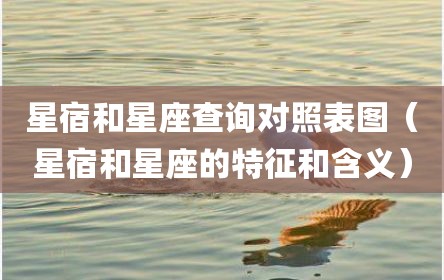 星宿和星座查询对照表图（星宿和星座的特征和含义）