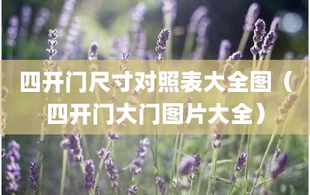 四开门尺寸对照表大全图（四开门大门图片大全）