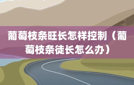 葡萄枝条旺长怎样控制（葡萄枝条徒长怎么办）
