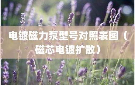 电镀磁力泵型号对照表图（磁芯电镀扩散）