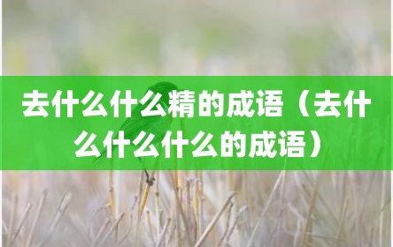 去什么什么精的成语（去什么什么什么的成语）