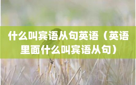 什么叫宾语从句英语（英语里面什么叫宾语从句）