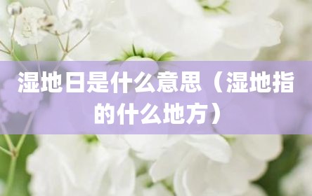 湿地日是什么意思（湿地指的什么地方）