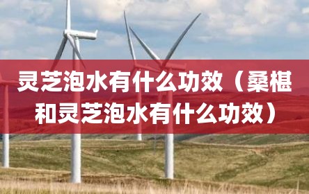 灵芝泡水有什么功效（桑椹和灵芝泡水有什么功效）