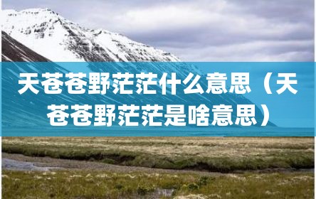 天苍苍野茫茫什么意思（天苍苍野茫茫是啥意思）