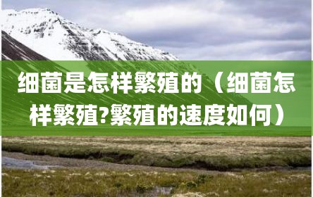 细菌是怎样繁殖的（细菌怎样繁殖?繁殖的速度如何）