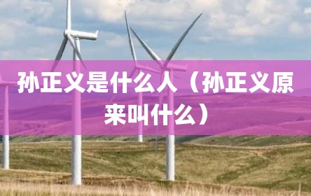 孙正义是什么人（孙正义原来叫什么）