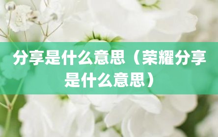 分享是什么意思（荣耀分享是什么意思）