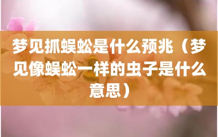 梦见抓蜈蚣是什么预兆（梦见像蜈蚣一样的虫子是什么意思）