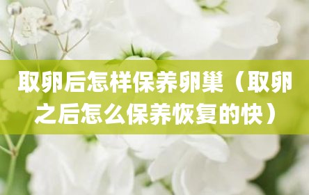 取卵后怎样保养卵巢（取卵之后怎么保养恢复的快）