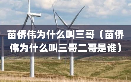 苗侨伟为什么叫三哥（苗侨伟为什么叫三哥二哥是谁）