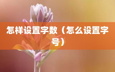怎样设置字数（怎么设置字号）