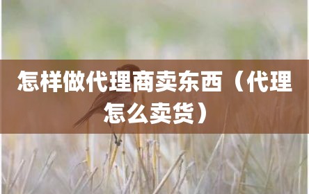 怎样做代理商卖东西（代理怎么卖货）