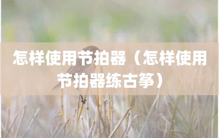 怎样使用节拍器（怎样使用节拍器练古筝）