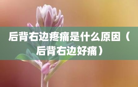 后背右边疼痛是什么原因（后背右边好痛）