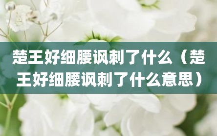 楚王好细腰讽刺了什么（楚王好细腰讽刺了什么意思）
