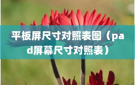 平板屏尺寸对照表图（pad屏幕尺寸对照表）