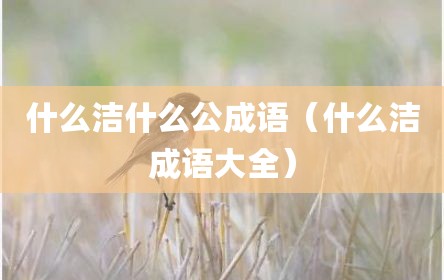 什么洁什么公成语（什么洁成语大全）