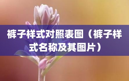 裤子样式对照表图（裤子样式名称及其图片）