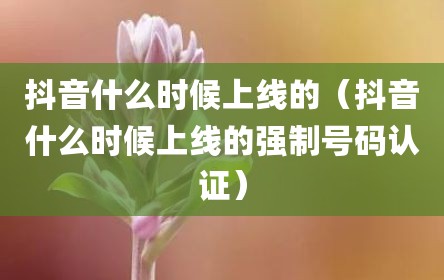 抖音什么时候上线的（抖音什么时候上线的强制号码认证）