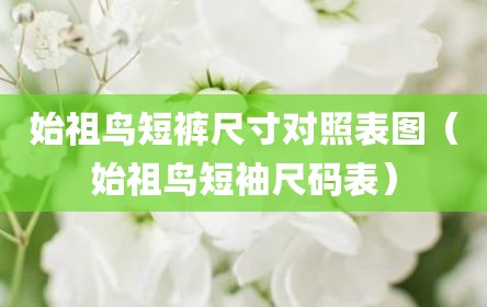 始祖鸟短裤尺寸对照表图（始祖鸟短袖尺码表）