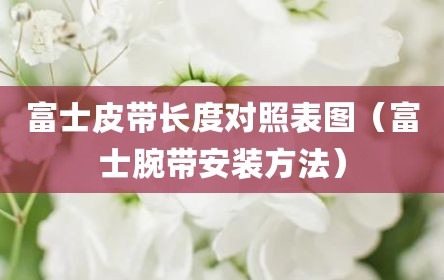 富士皮带长度对照表图（富士腕带安装方法）