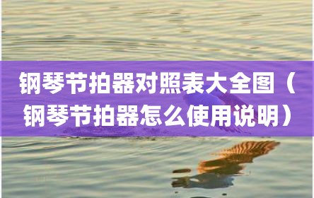 钢琴节拍器对照表大全图（钢琴节拍器怎么使用说明）
