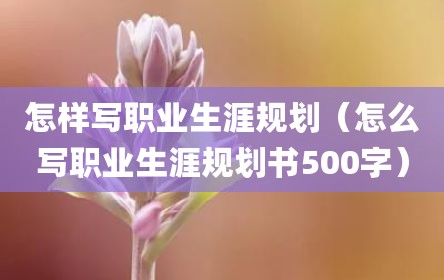 怎样写职业生涯规划（怎么写职业生涯规划书500字）