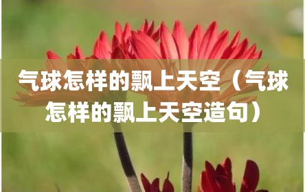 气球怎样的飘上天空（气球怎样的飘上天空造句）
