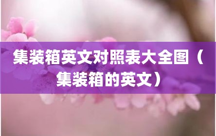 集装箱英文对照表大全图（集装箱的英文）