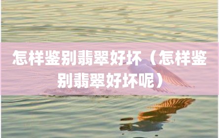 怎样鉴别翡翠好坏（怎样鉴别翡翠好坏呢）