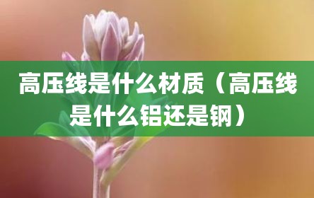 高压线是什么材质（高压线是什么铝还是钢）