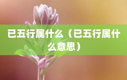 已五行属什么（已五行属什么意思）