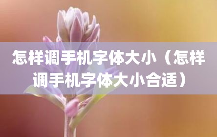 怎样调手机字体大小（怎样调手机字体大小合适）