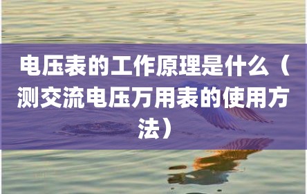 电压表的工作原理是什么（测交流电压万用表的使用方法）