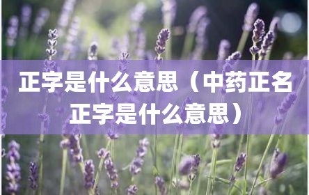 正字是什么意思（中药正名正字是什么意思）