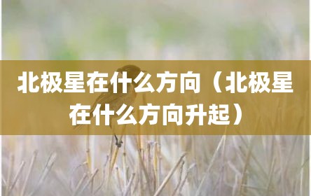 北极星在什么方向（北极星在什么方向升起）