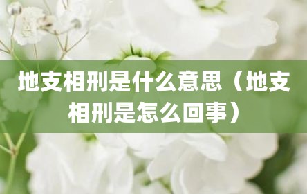 地支相刑是什么意思（地支相刑是怎么回事）