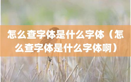 怎么查字体是什么字体（怎么查字体是什么字体啊）