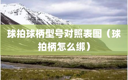 球拍球柄型号对照表图（球拍柄怎么绑）