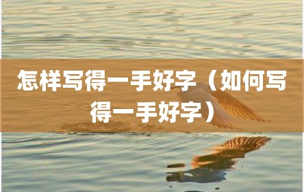 怎样写得一手好字（如何写得一手好字）