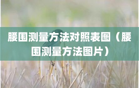 腰围测量方法对照表图（腰围测量方法图片）