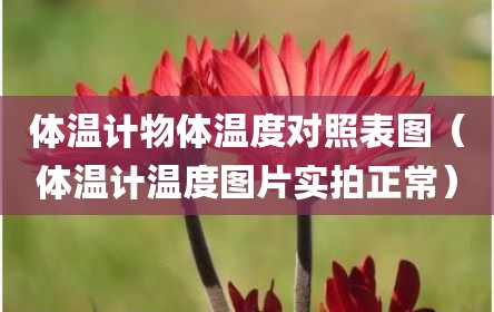 体温计物体温度对照表图（体温计温度图片实拍正常）