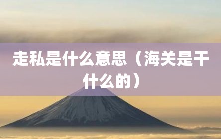 走私是什么意思（海关是干什么的）