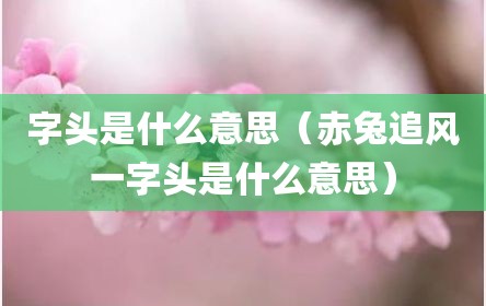字头是什么意思（赤兔追风一字头是什么意思）